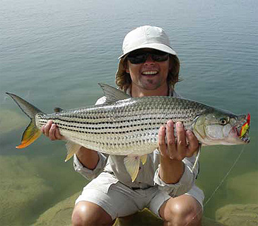 1493_Garreth Coombes_Elongate Tigerfish_Hydrocynus forskahlii.jpg